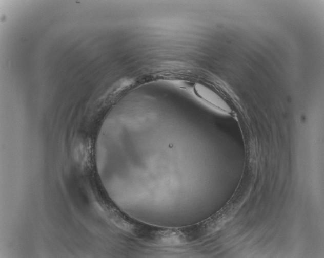 X0000067510073200604101306