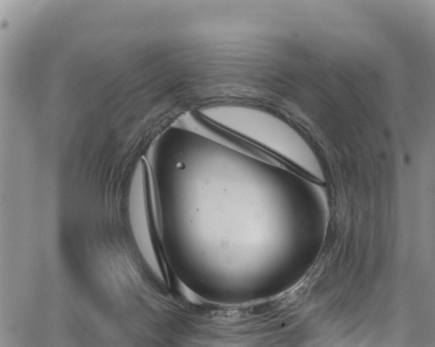 X0000067510074200604101306