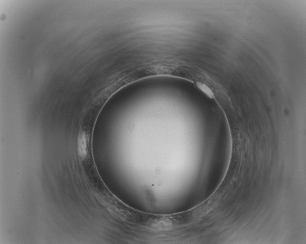 X0000067510075200604101306