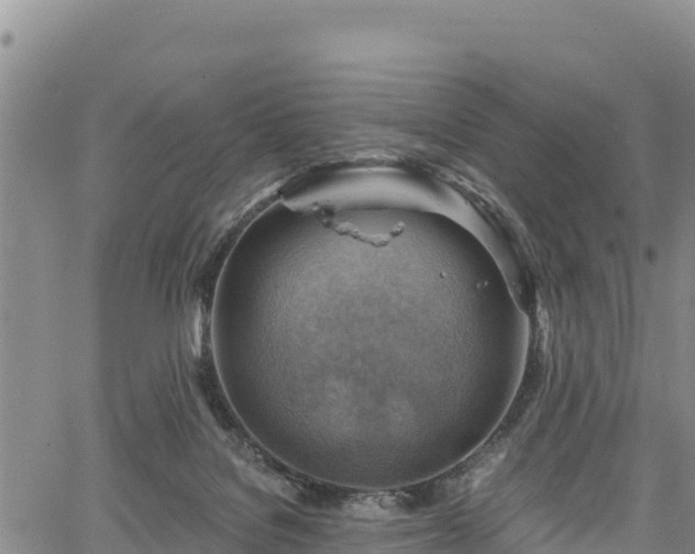 X0000067510076200604101306