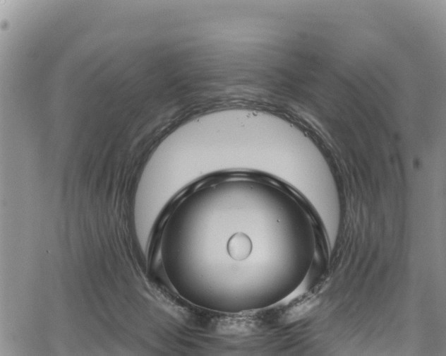 X0000067510077200604101306