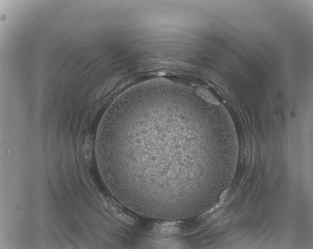 X0000067510078200604101306