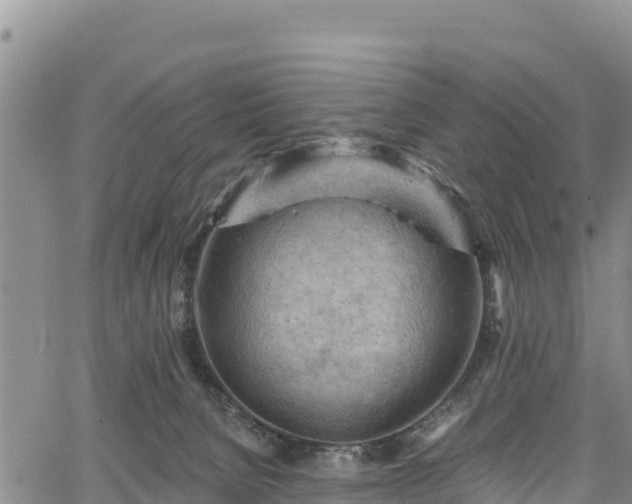 X0000067510080200604101306