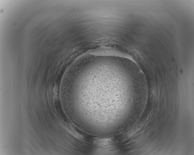 X0000067510081200604101306