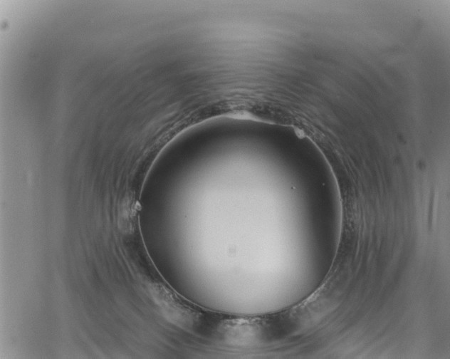 X0000067510082200604101306