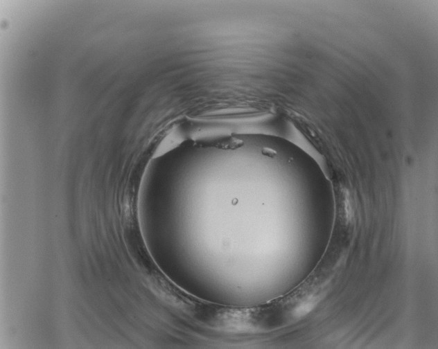 X0000067510084200604101306