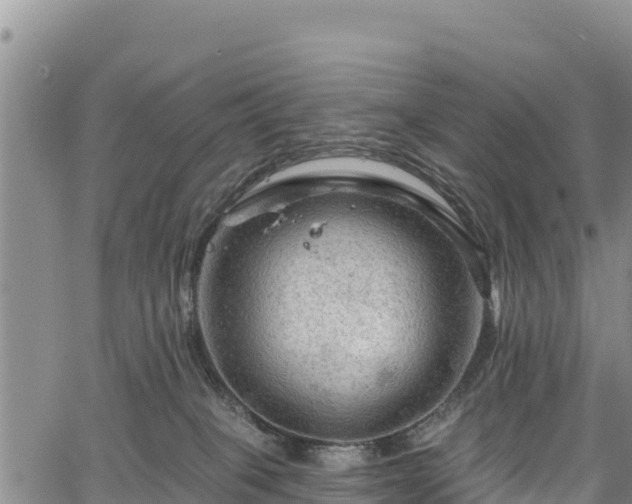 X0000067510085200604101306