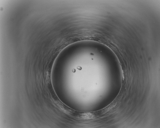 X0000067510087200604101306