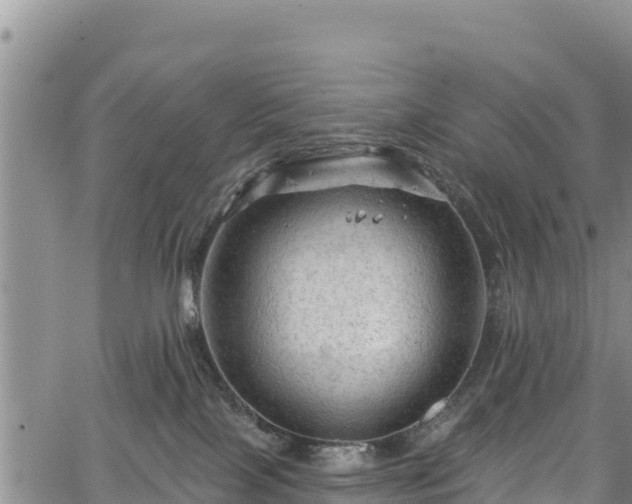 X0000067510089200604101306