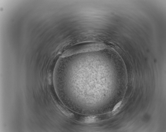 X0000067510090200604101306