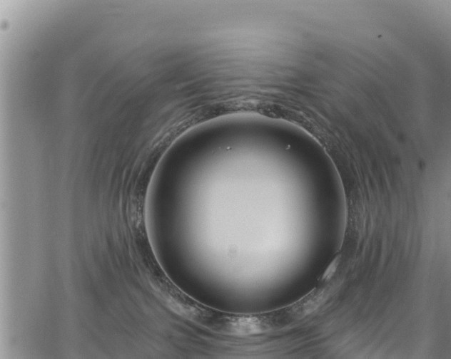 X0000067510091200604101306