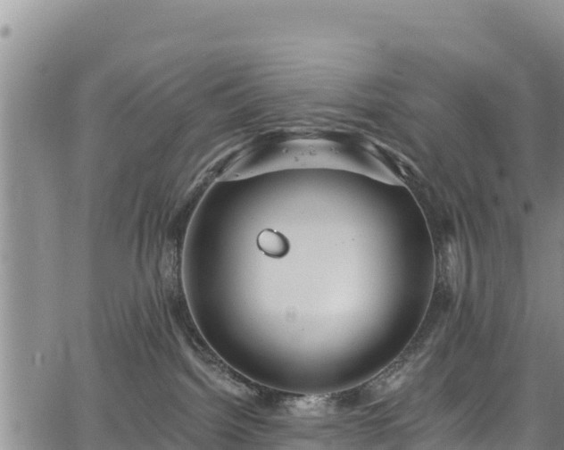 X0000067510092200604101306