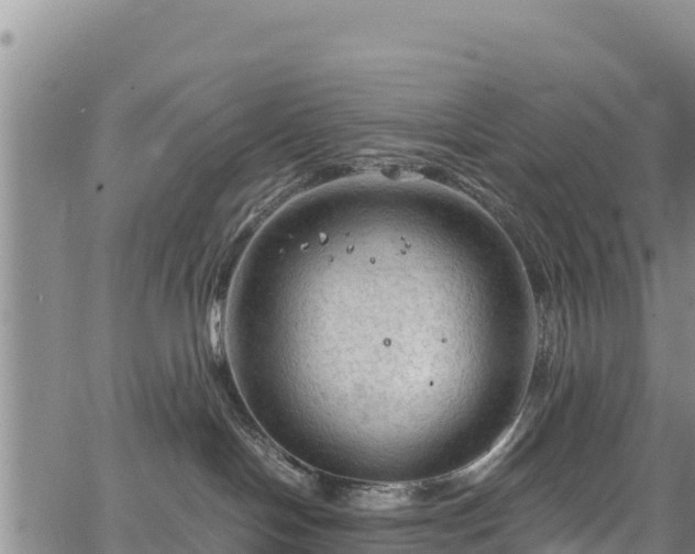 X0000067510094200604101306