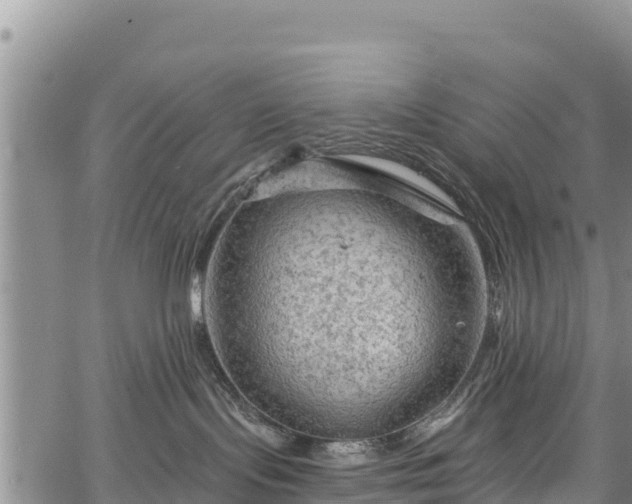 X0000067510095200604101306