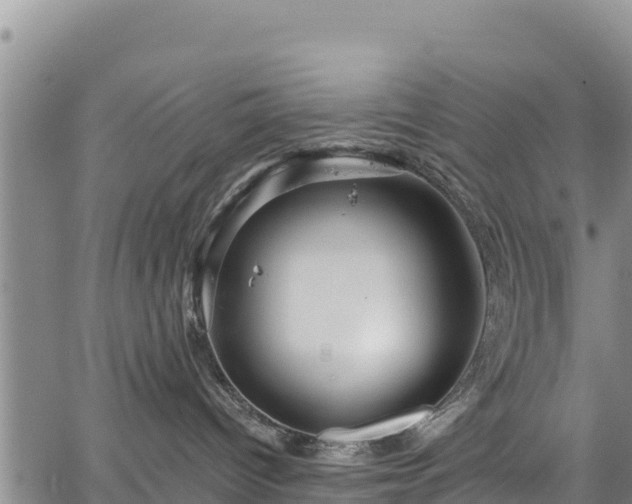 X0000067510096200604101306