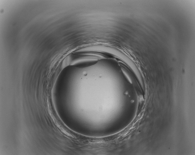 X0000067510097200604101306