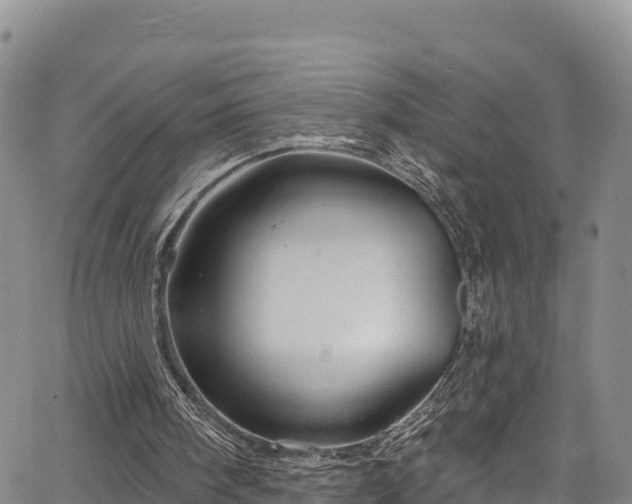 X0000067510098200604101306