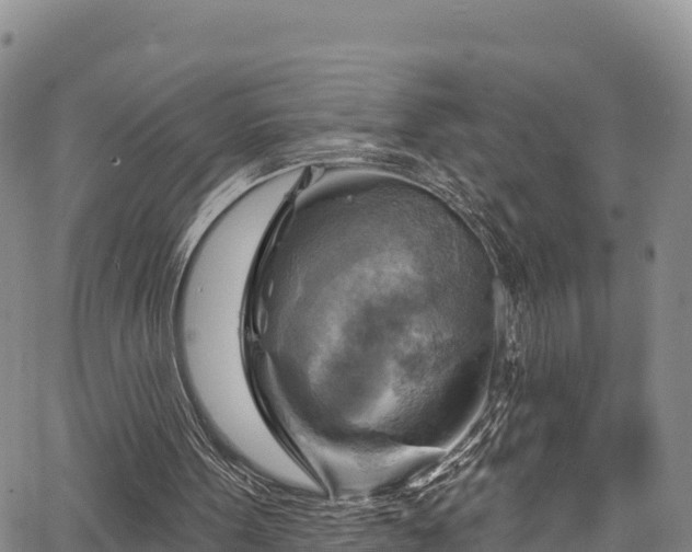 X0000067510099200604101306