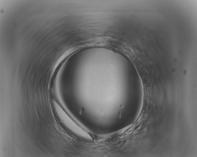 X0000067510100200604101306