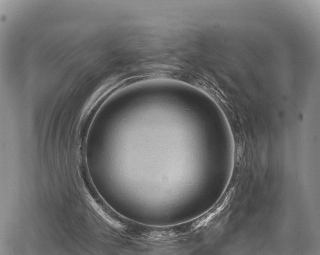 X0000067510101200604101306