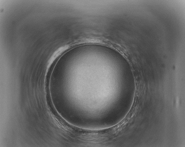 X0000067510104200604101306