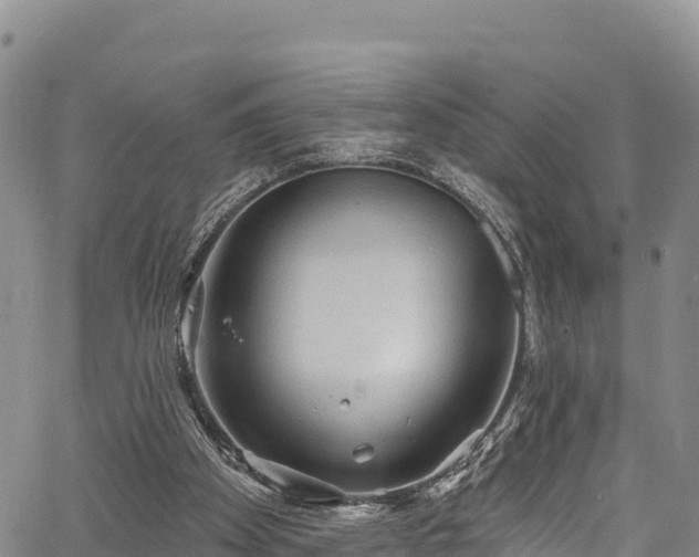 X0000067510105200604101306