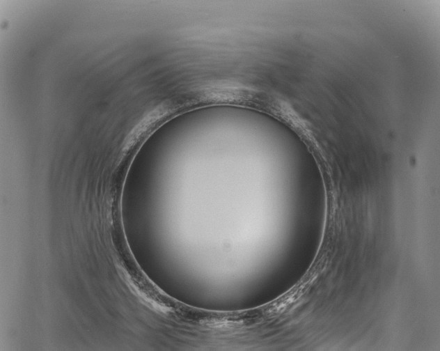 X0000067510106200604101306