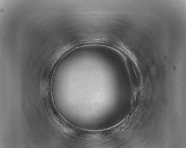 X0000067510107200604101305