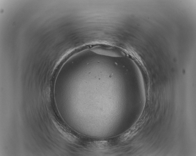 X0000067510108200604101305