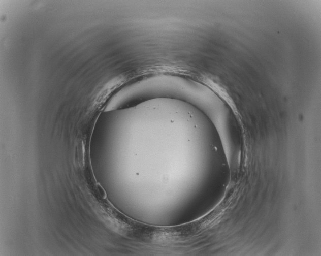 X0000067510109200604101305