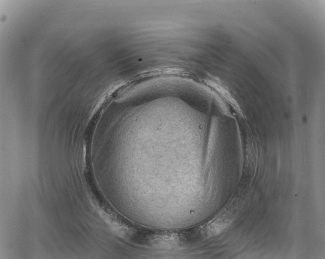 X0000067510110200604101305