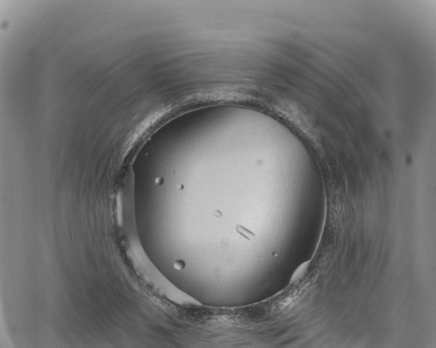 X0000067510111200604101305