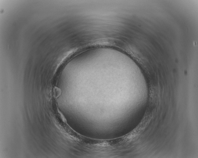 X0000067510112200604101305