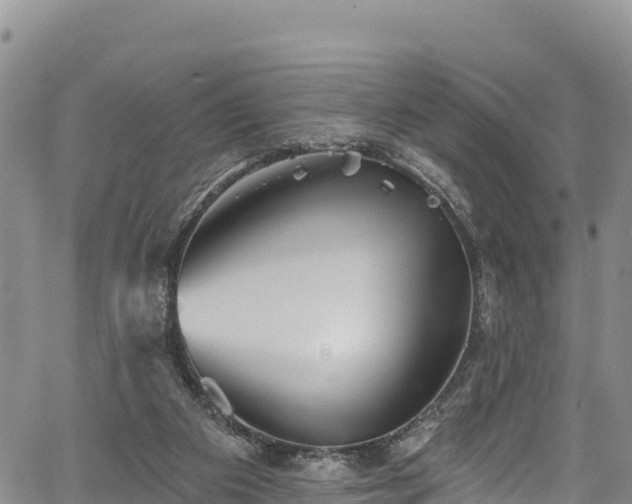 X0000067510113200604101305