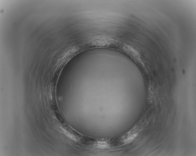 X0000067510114200604101305