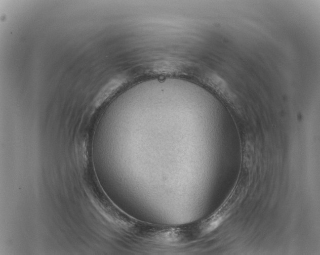 X0000067510116200604101305