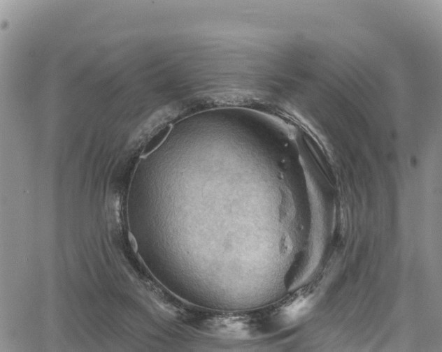 X0000067510117200604101305