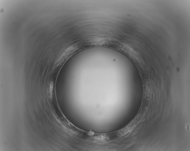 X0000067510118200604101305