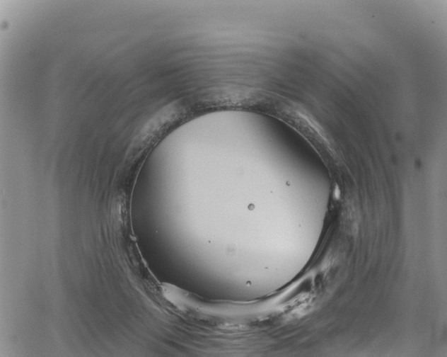 X0000067510119200604101305