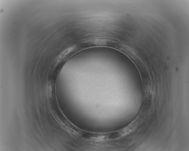 X0000067510120200604101305