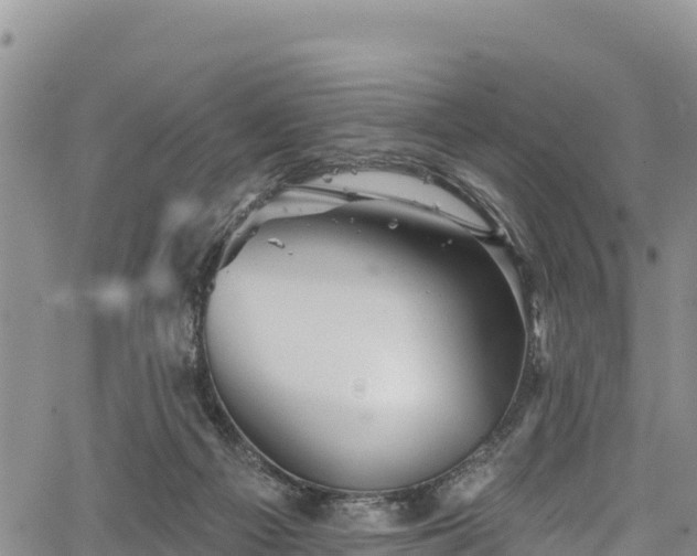 X0000067510121200604101305