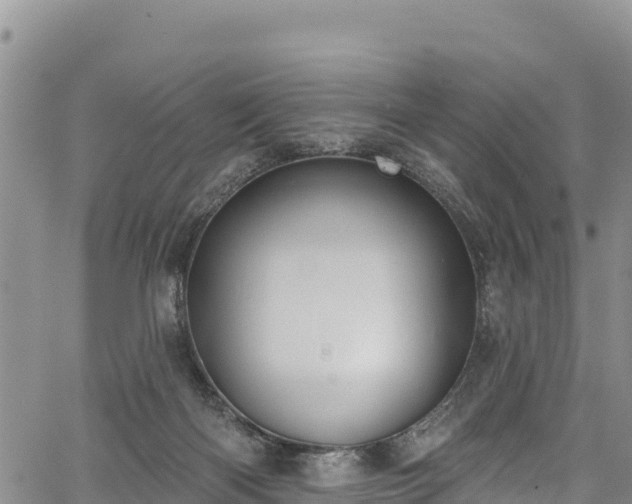 X0000067510122200604101305