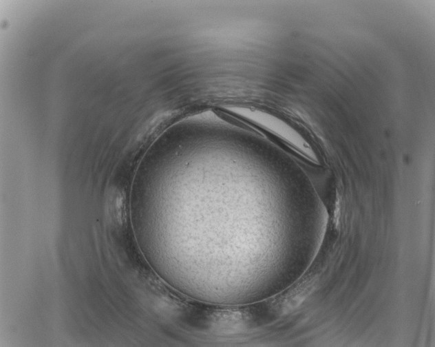 X0000067510123200604101305