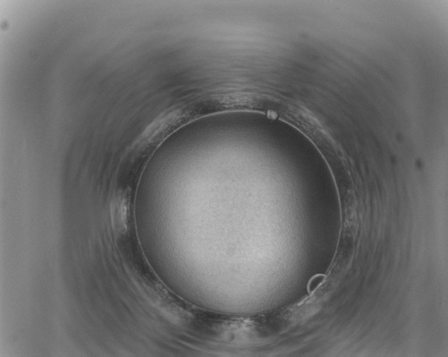 X0000067510124200604101305