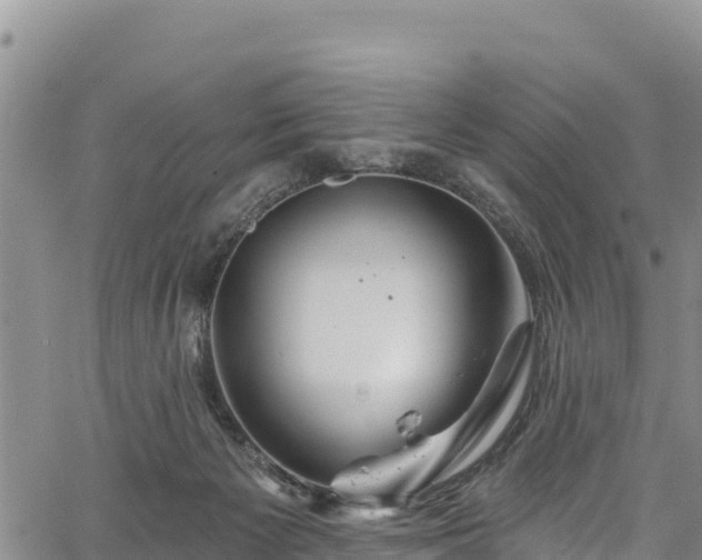 X0000067510125200604101305