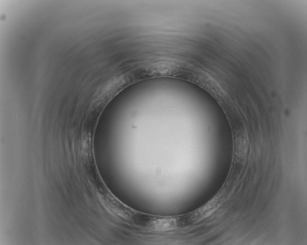 X0000067510126200604101305