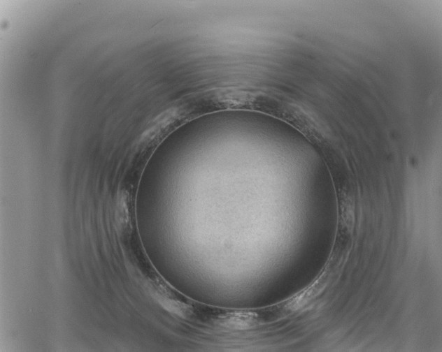 X0000067510128200604101305