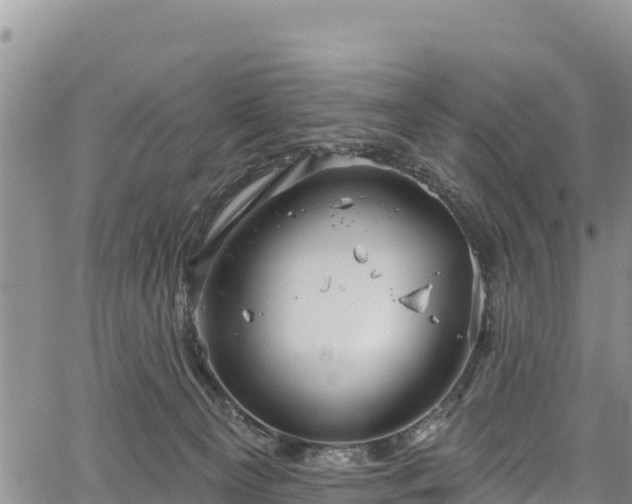 X0000067510129200604101305