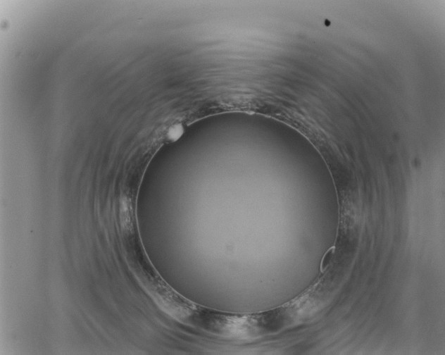 X0000067510130200604101305