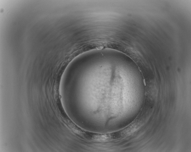 X0000067510131200604101305